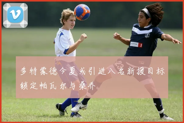 多特蒙德今夏或引进八名新援目标锁定帕瓦尔与桑乔