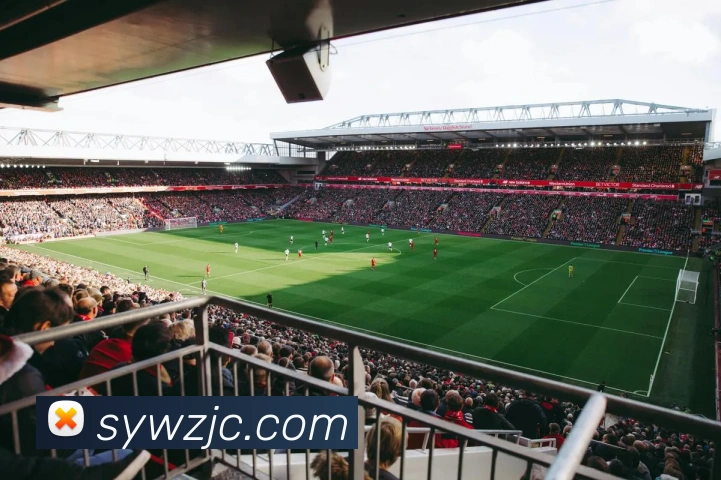 雅博app服务体系